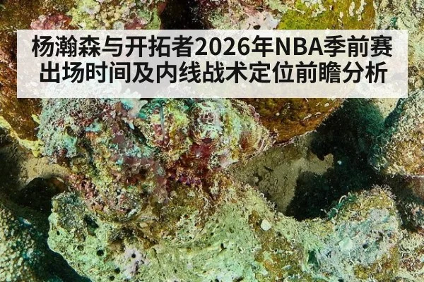 杨瀚森与开拓者2026年NBA季前赛出场时间及内线战术定位前瞻分析